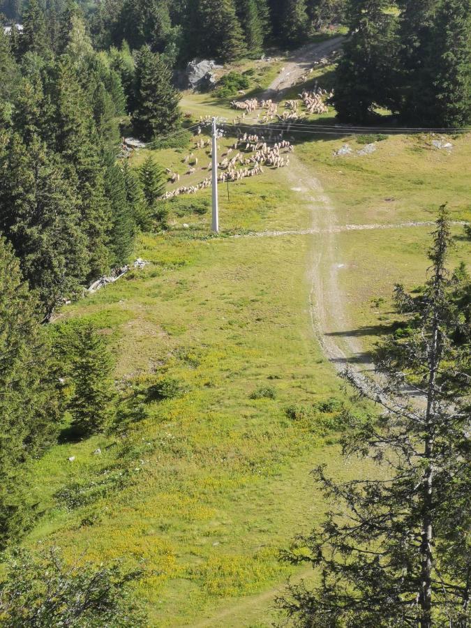 Appartement Edelweiss Chamrousse vue sur Recoin La Croix de Chamrousse Grenoble Extérieur photo