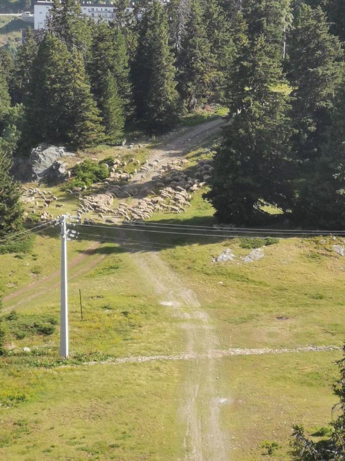 Appartement Edelweiss Chamrousse vue sur Recoin La Croix de Chamrousse Grenoble Extérieur photo